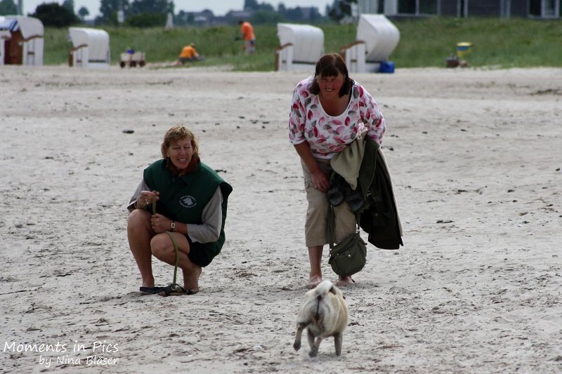 2010-06-26 Arc-en-ciel Arlequin (55).jpg